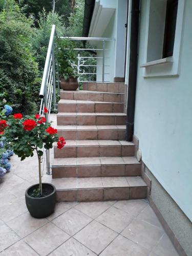 Apartma Dolomiti, Lublaň