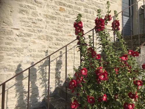 Calme champetre chambre d'hôte Périgné