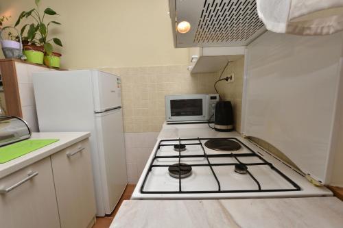 Apartment Skoric - main image