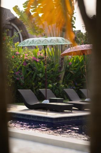 United Colors of Bali – Canggu, CO