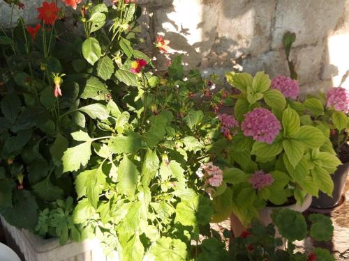  Apartment Sucic in Otavice