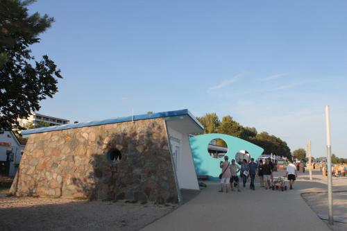 Strandläufer im Kirschgarten - main image