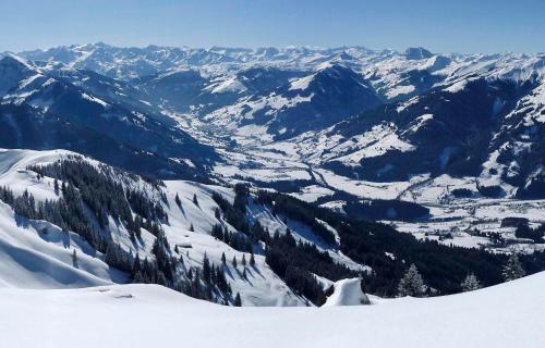 Bichl Alm - image 4
