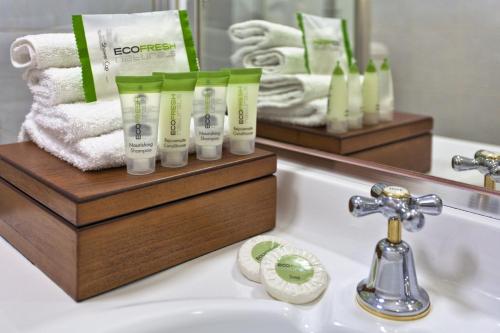 アルパイン モーター イン