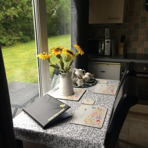 BUMBLEBEE, Dartmouth (fotografie 7)
