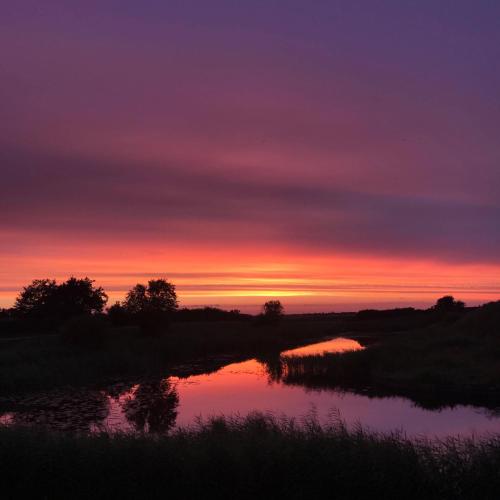 Bjerrumgaard - image 7