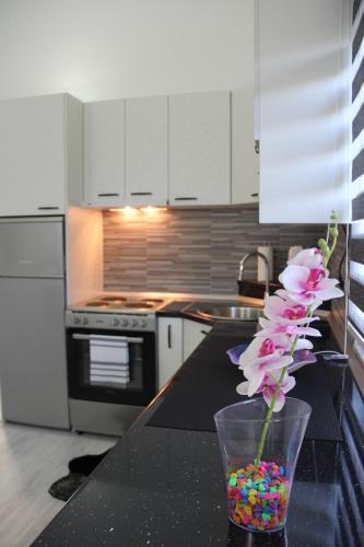 Two-Bedroom House image 10