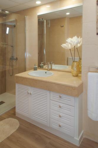 One-Bedroom Apartment image 8