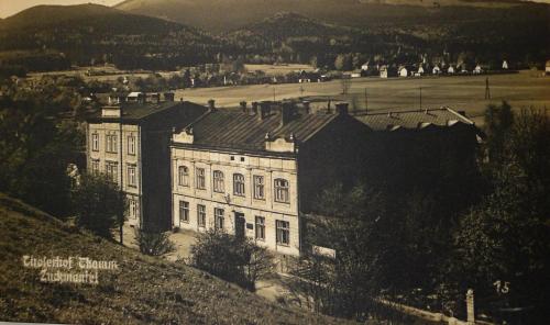 Hotel Praděd Thamm - image 4