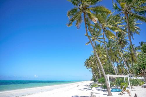 Indigo Beach Zanzibar - image 2