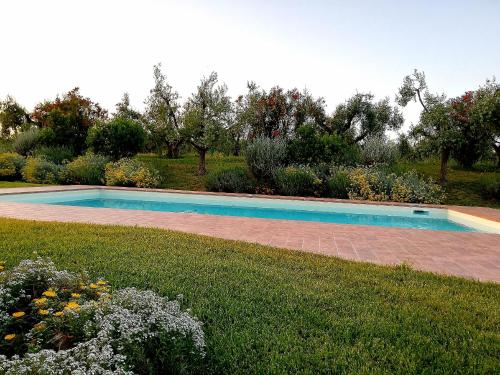Il Casale degli Ulivi - Agriturismo - TENIMENTI LEONE - 주변 환경