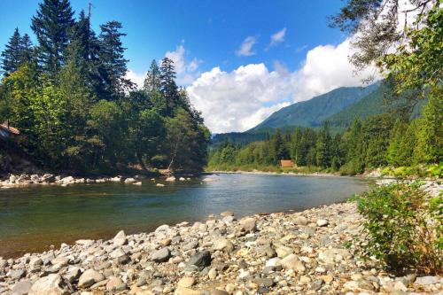 Cedarwood Grove