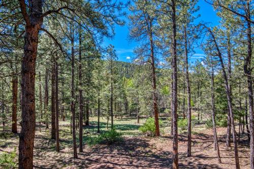 Tschirtart Cabin - 4 Bed 2 Bath Vacation home in Angel Fire - image 7