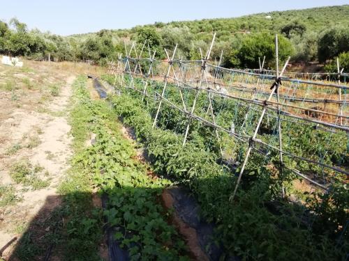 Alojamiento Rural La Perdiz