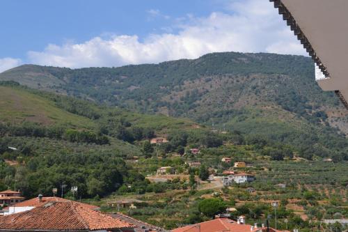 Hostal Vadillo - image 13