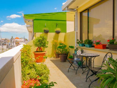 Balcony/terrace, Hotel Bamboo Aeropuerto in Alajuela