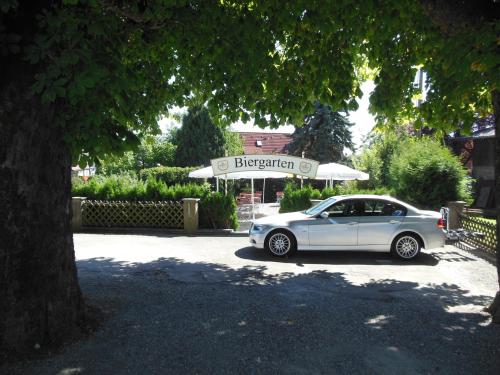 Grüner Baum - image 4