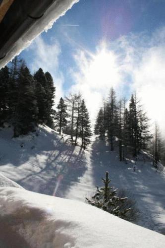 Haus Elisabeth Apartments - image 8