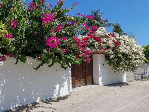 Holiday Cottage Thoddoo