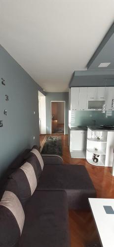 Alegrija Lux - image 3