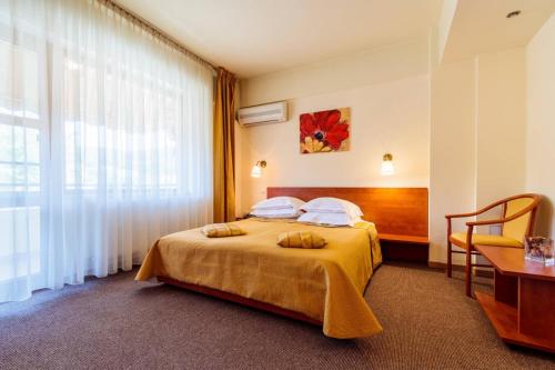 Pensiunea Noel Room Type - Double or Twin Room