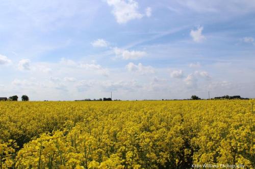 Little Owls Nest Holiday Home Little Owls Nest Holiday Home