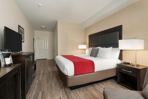 1 king bed