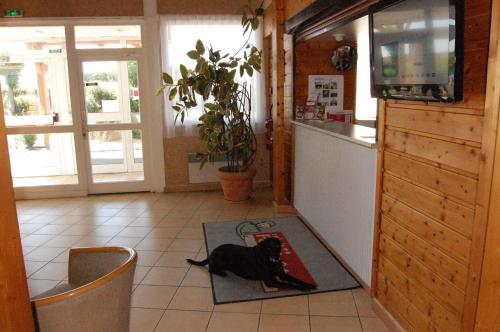 Fasthotel Chateauroux - image 9