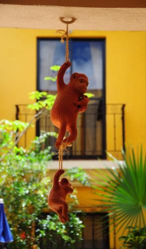 Casa Gecko – Oaxaca, NE