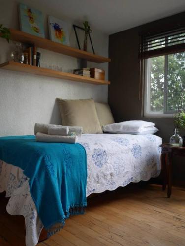 Hostel Casa Tistik Mexico City Trivago Com