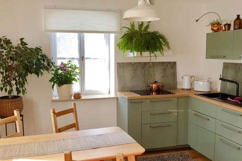 Kitchen, Into The Green Apartment in Markt Nordheim