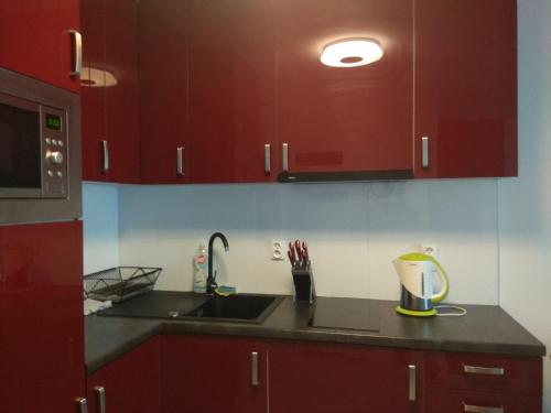 CHERRY APARTAMENT W ŚCISŁYM CENTRUM, Varšava (fotografie 8)