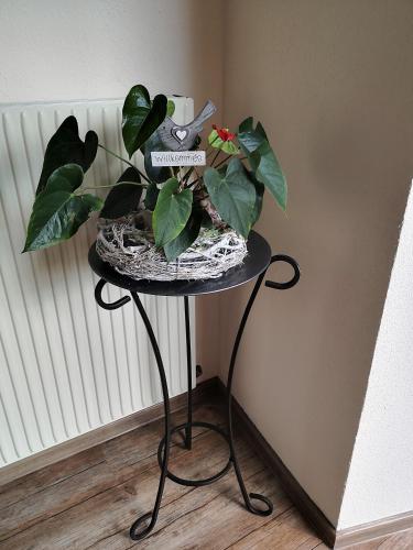 Apart Hotel Ideal - image 3