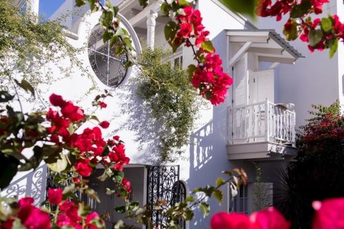 Villa Vicuña Hotel Boutique