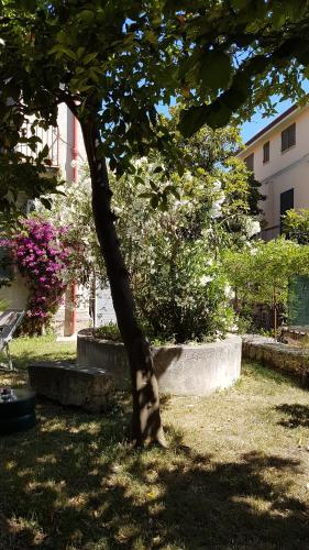 Il Giardino Di Vico Neve - image 13