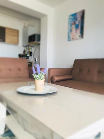 Breeze Villa Mamaia Nord