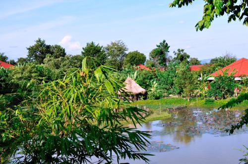 Garden, Memoria Palace & Resort in Pailin