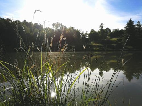  Vacation House Stinjak in Lasinja