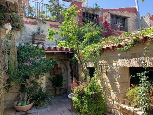 Casa Palacio Jerezana Casa Palacio Jerezana