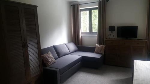 1 queen bed, 1 sofa bed