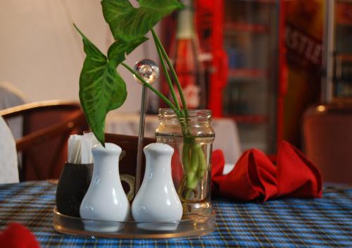 設施, 米克埃爾斯酒店 (Mc -Ellys Hotel) in 阿魯沙