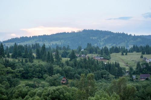 Cabana Todireni Vatra Dornei