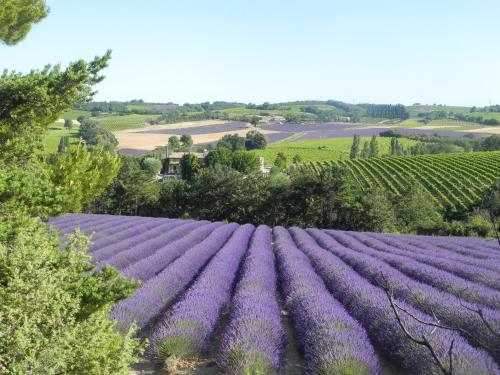 Le Relais de la Tour photo 19