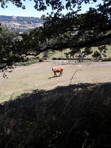 Village.insolite