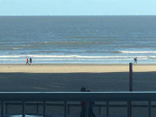  Serena in Blankenberge