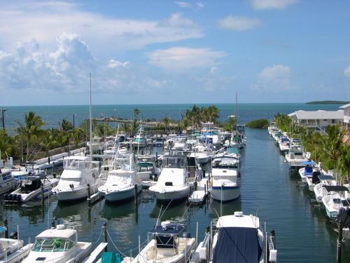 Full Time Lic Mgr - Modern Oceanfront Condo! Beautiful Ocean Views! Beach Resort! 2 King Beds! - Key Largo, FL