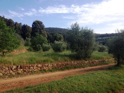 Bioagriturismo Ficareto - image 3