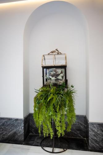 Plazuela del Carbón Suites - image 13