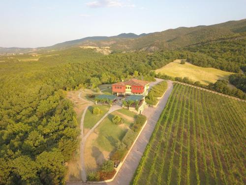 Estate Kalaitzis - Κτήμα Καλαϊτζή | Noble vineyard, vintage hospitality
