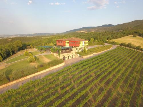 Estate Kalaitzis - Κτήμα Καλαϊτζή | Noble vineyard, vintage hospitality